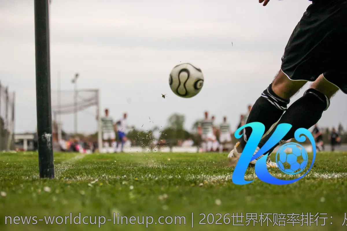 2026世界杯赔率排行：从哪里获取最新数据？